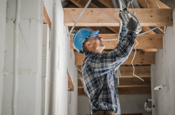 Best Electric Panel Repair  in Elkins, WV