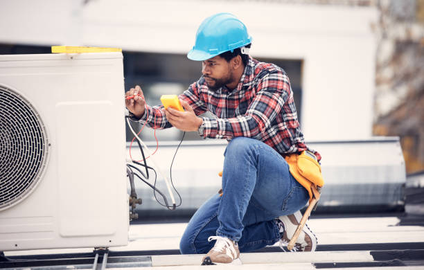 Best Local Electrician Companies  in Elkins, WV